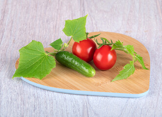 Young beautiful cherry tomatoes with beautiful young leaves and fresh beautiful cucumbers gherkins with leaves on a wooden cutting board