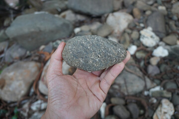 Raw specimen of andesite extrusive volcanic rock in the hands of a geologist on nature background.