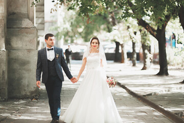 Fototapeta na wymiar Gorgeous wedding couple walking in the old city of Lviv