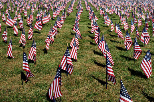 American Flag in a sea of flags honoring military veterans on a bright sunny day. The U.S. flag, is the national flag of the United States.
