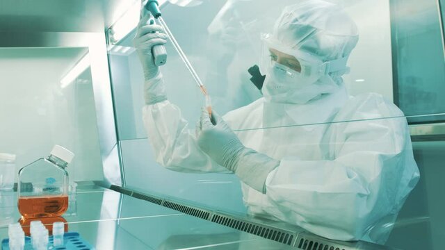 Handheld shot of a Caucasian female lab scientist, in a full protective coverall with a hood, filling test tubes with a pipette in a laminar flow cabinet.