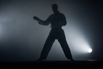 Fototapeta na wymiar Professional karate fighter kicking. Isolated on a dark background