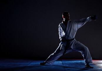Young black belt fighter training karate in gym © qunica.com