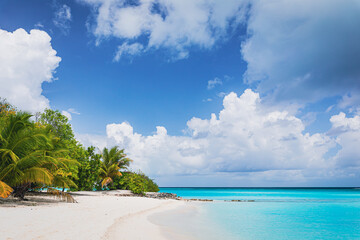 A paradise beach on an island with turquoise water and beautiful exotic flora - Maldives