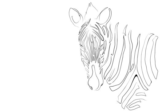 One line art skecth drawing zebra horse mammals animals illustration background vector