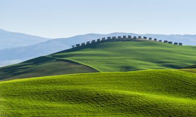 Obraz premium Val d'Orcia