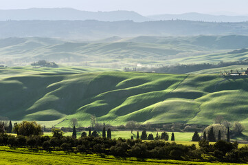 Obraz premium Val d'Orcia