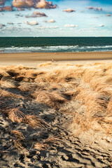 Aerochrome photography, infrared, special filter in nature