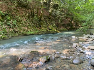 Curak stream near the Zeleni vir picnic area in Gorski kotar - Vrbovsko, Croatia (Potok Curak kod izletišta Zeleni vir u Gorskom kotaru - Vrbovsko, Hrvatska)