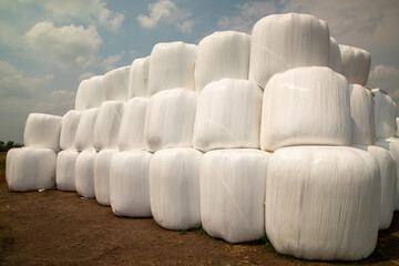 Wrapped and stacked round bales ready for feeding.