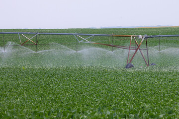 center-pivot irrigation being used to water soybean in Wisconsin