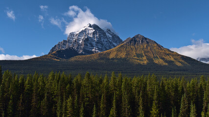 Beautiful view of majestic Mount Temple in Banff National Park, Alberta, Canada with snow-capped peak, yellow colored larch trees and forest in front.