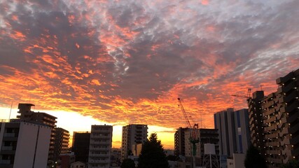 sunset over city