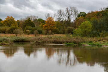 Colorful autumn leaves and pond in a natural flood zone