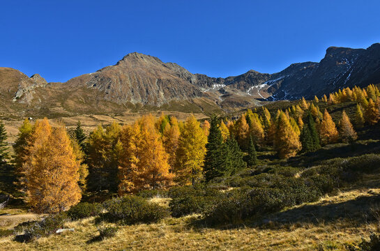 S&uuml;dtirol bei Meran,  Blick zum Hirzer, Sarntaler Alpen, South Tyrol, Italy, view to the mountain Hirzer in the sarntaler alps