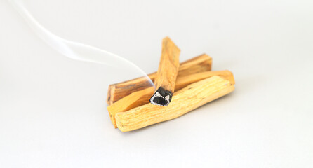 Palo santo holy tree stick burning with aroma smoke