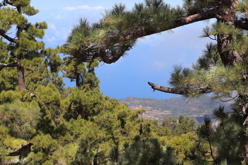 Himmel Wolken, Insel, Urlaub, La Palma, Aussicht, Wald