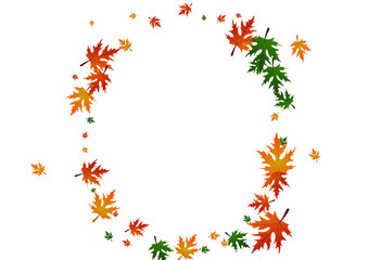 Obraz premium Yellow Leaf Background White Vector. Maple Nature Pattern. Gold Autumn. Ground Illustration. Colorful Foliage Realistic.