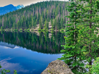 Pine trees and mountains reflected in the calm waters of Bear lake in Rocky Mountain National Park Colorado