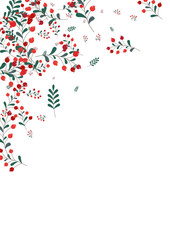 Pink Foliage Background White Vector. Rowan Drawn Card. Green Berries Wood. Image Template. Leaf Backdrop.