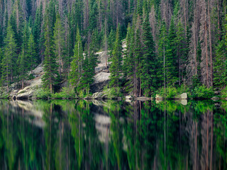 Crystal clear reflections of pine trees on Bear Lake in the Rocky Mountains