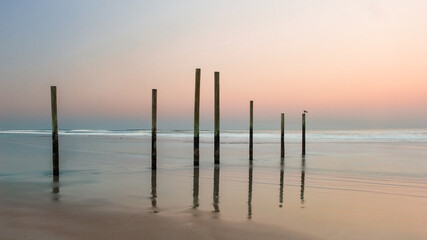 Ocean pilings at sunset on sandy beach with warm pink sky