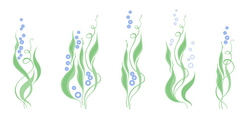 Obraz na płótnie Canvas Water plants and bubbles