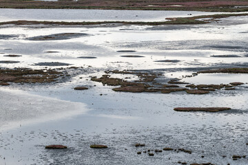 Abstract patterns on a salt marsh wet land. A wild life habitat.