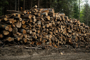 Massive deforestation in Ciucas Mountains, Romania. Situated in Europe, Ciucas mountains are part of the Carpathian mountain range.