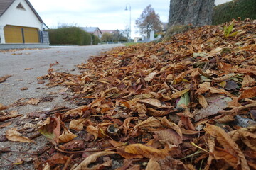 Herbstlandschaft in 86653 Monheim
