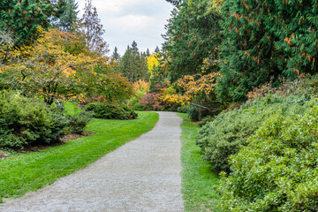 Fototapeta na wymiar Washington Park Arboretum Autumn Path 10