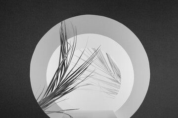 Dark grey and white abstract scene with pedestal, round arches as channel with perspective in...