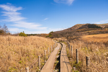 秋の霧ヶ峰　 八島ヶ原湿原の遊歩道