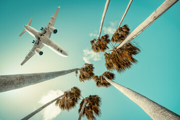 modern plane over palm trees