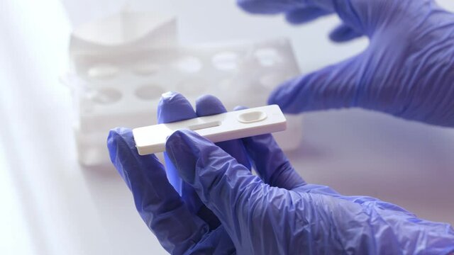 hands in gloves makes a covid-19 antigen pcr express test, placing saliva sample on quick rapid diagnostic test using pipette. Selective focus