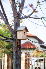 Fototapeta na wymiar Bird feeder on a tree close up