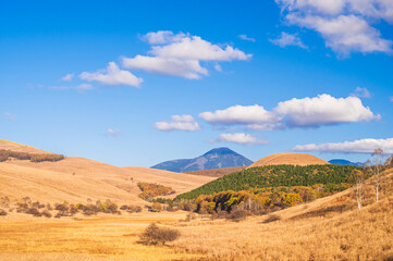 池のくるみ踊場湿原