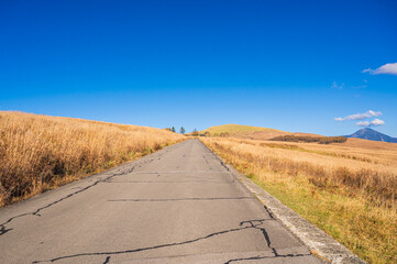 真っすぐに伸びる道　霧ヶ峰高原