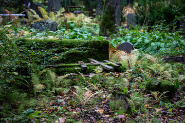old abandoned cemetery in Latvia with falen crosses and damaged gravestones. Ground overgrown with moss and ferns