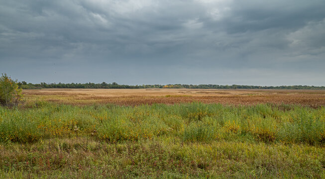 A prairie under gray clouds on a fall day