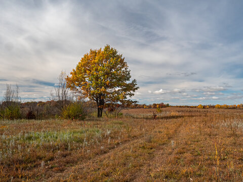 Fall colors over the prairie under blue cloudy skys