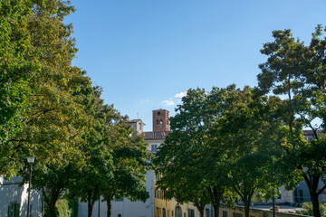 Blick von der Stadtmauer auf  Campanile von San Frediano in der Altstadt von Lucca Toskana