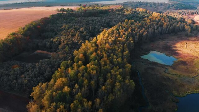 Aerial view of lake at sunrise in autumn. Meadows, orange grass, trees. Colorful landscape of river sunset. Horodok Ukraine