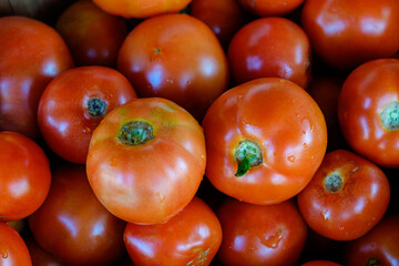 Fresh organic vegetables for a healthy vegetarian lifestyle