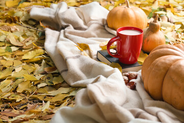 Autumn, pumpkins, park, leaves. Autumn background