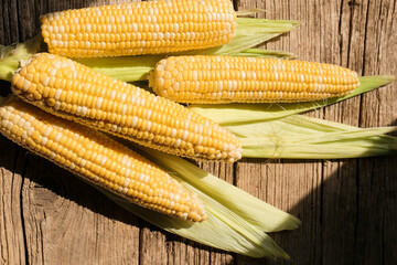 Corn close up
