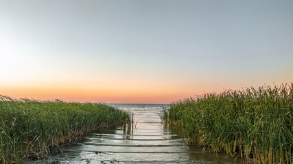 Out to sea framed by reeds. Small waves on the water during sunset. Clear sky.