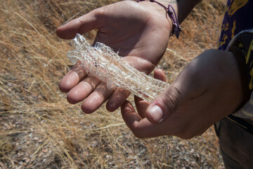 Human hands holding shed snake dry skin. Namibia