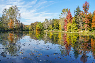 reflection of colorful autumn trees on a calm lake under blue sky