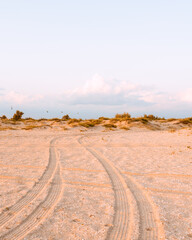 Wheel tracks in the sand on the beach at sunset